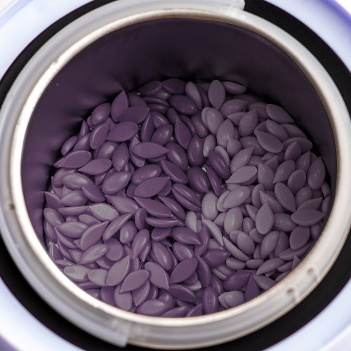 1764-07 sliwka2.jpg