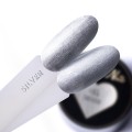 2318-01 silver.jpg