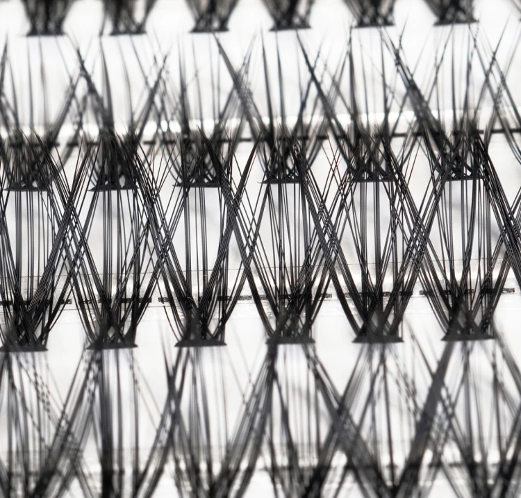 2424-04_04.jpg