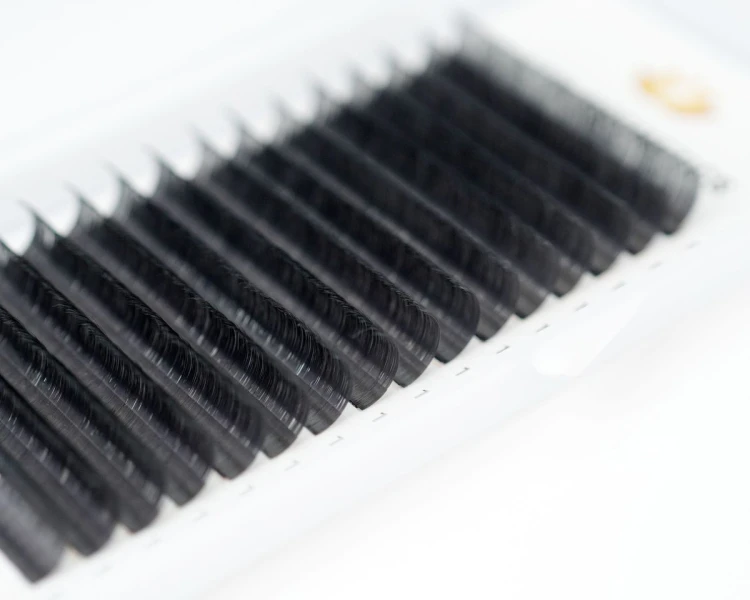 2405_01.jpg