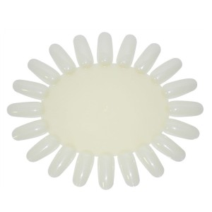 WZORNIK DO KOLORU, PALETA, SŁONECZKO MLECZNE 10szt #13-01