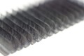 0469_3.jpg