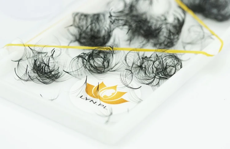 1013_04.jpg